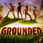 Купить Grounded ключ