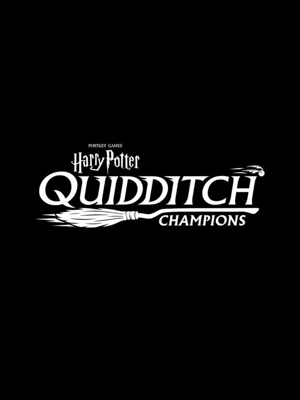 Купить Harry Potter: Quidditch Champions ключ