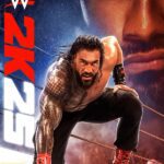 WWE 2K25 купить ключ
