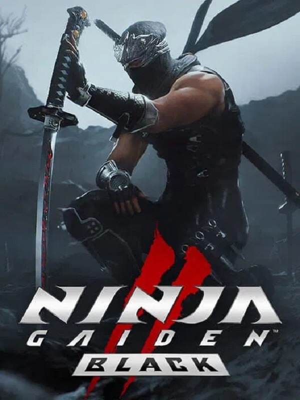 NINJA GAIDEN 2 Black NINJA GAIDEN 2 Black купить ключ — изображение 1
